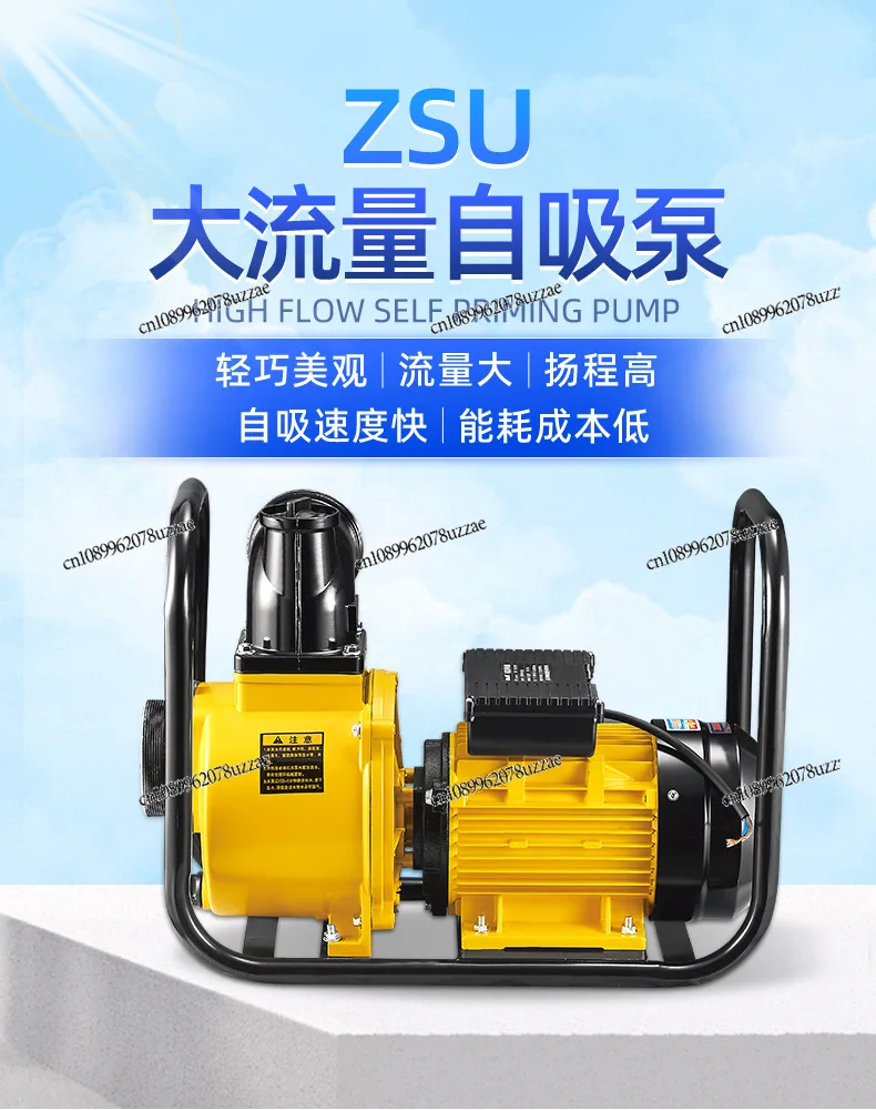 Portable Cast Iron Pump Stable and Durable Strong Centrifugal Pump