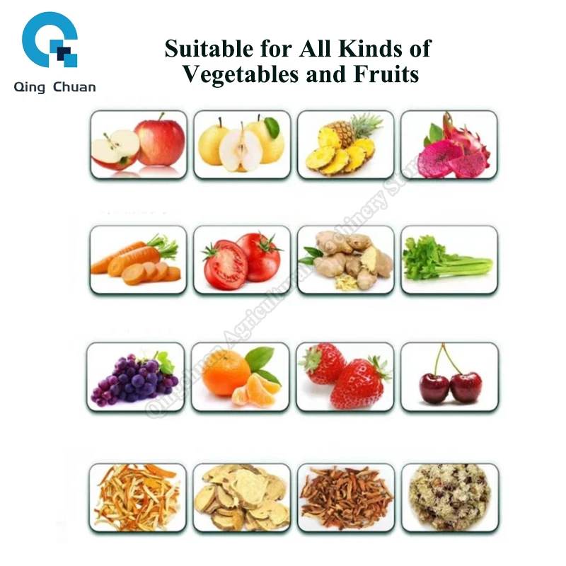 Spiral Crushing Juicer Commercial Industry Hard Fruit Stainless Steel 1.5T/hour Pomegranate Ginger Seed Removal Crushing  Juicer