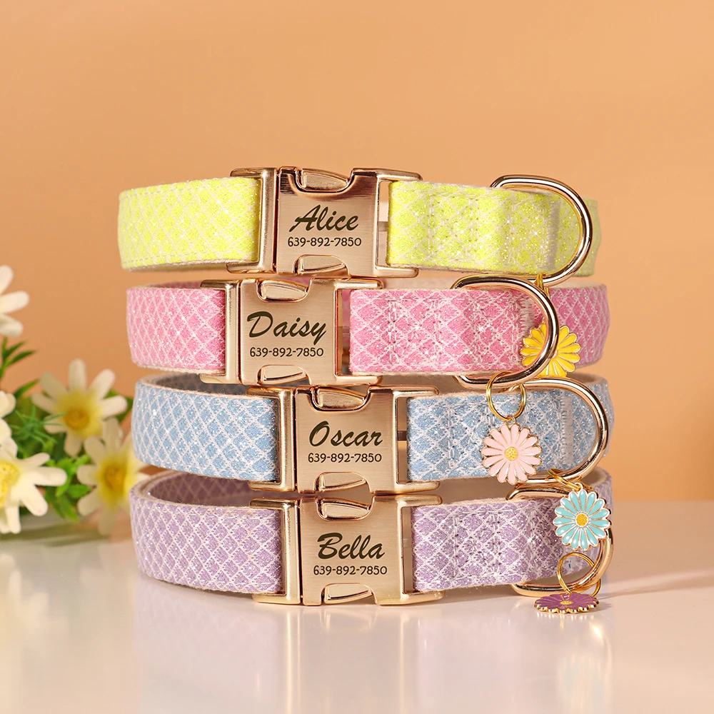 Thumbnail 2 - #20 Best Puppy Collars to Buy In 2026