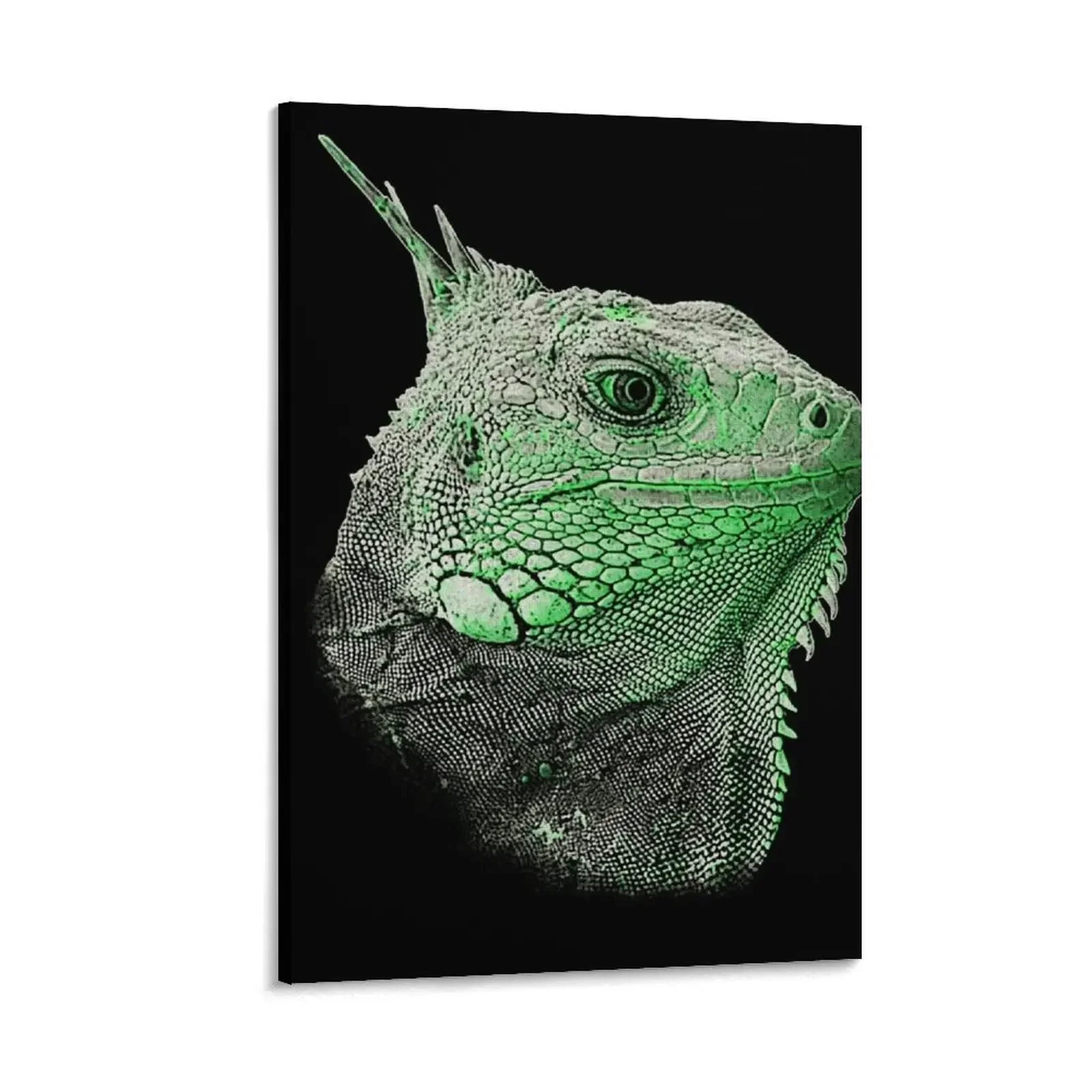 

iguana head, best reptile clothes, iguanas Canvas Painting art mural photos for living room decoration for the room