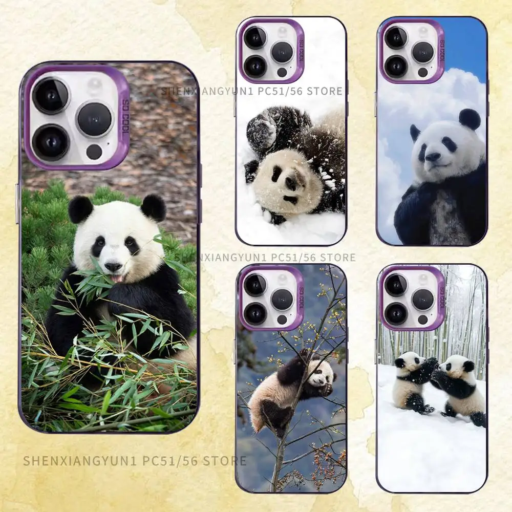 

Cute Panda Phone Case For iPhone 17 16e 16 15 14 13 12 Pro Max X XR XS MAX Back Cover