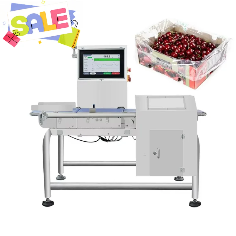 Checkweigher Customized Precision Conveyor Weight Checker Automatic Reject System Packaging Quality Inspection