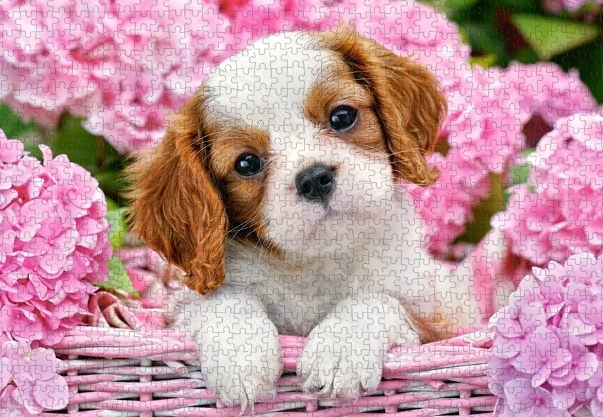 

Cute puppy The wooden puzzle 1000 pieces ersion jigsaw puzzle white card adult children's educational toys