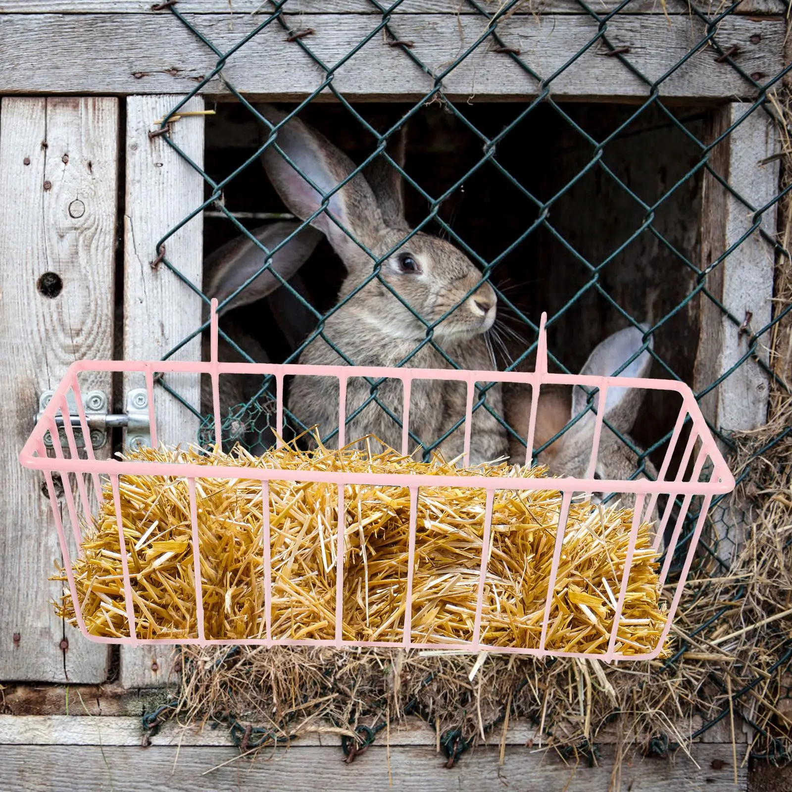 Konijn Konijn Feeder Rack Metalen Konijn Opknoping Konijn Feeder Feeder Feeder Konijn Kooi Opknoping Voedsel Opslag Stand Houder Bunny Voeding