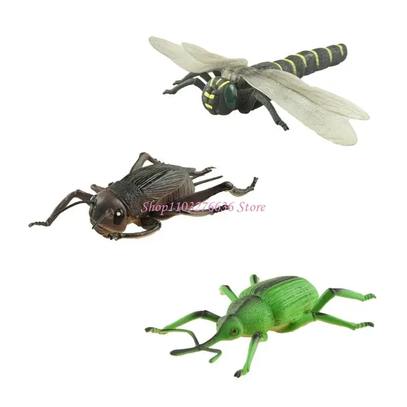 R6FD Realistic Insect Figures For Teaching Animal Anatomy Classroom Demonstration Toy