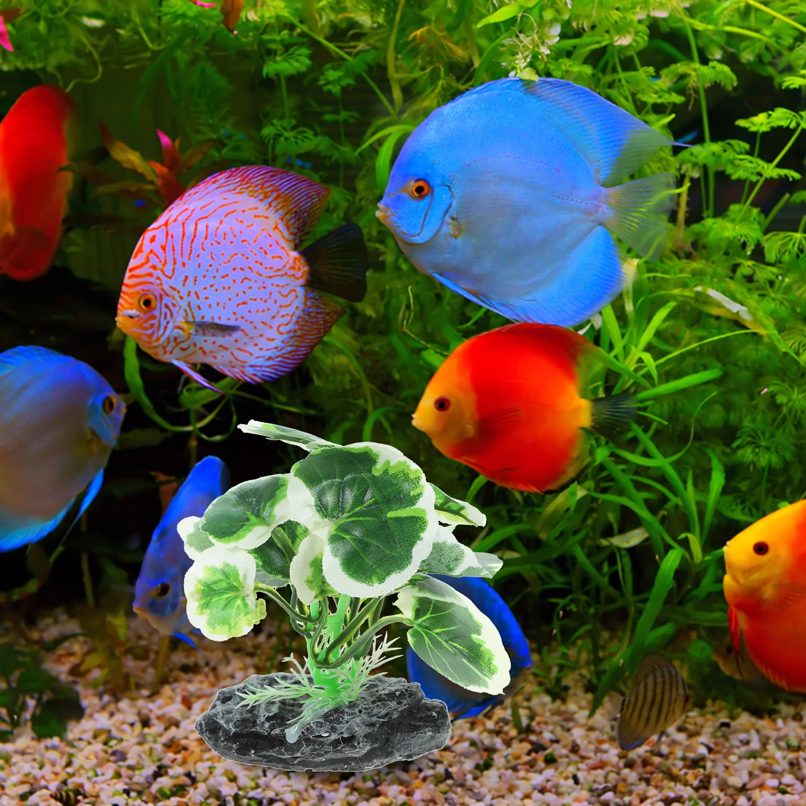 

Artificial Fish Tank Plants Aquarium Decoration Plastic Goldfish Hide Simulation Aquarium Plant Decor Fish Tank Accessories