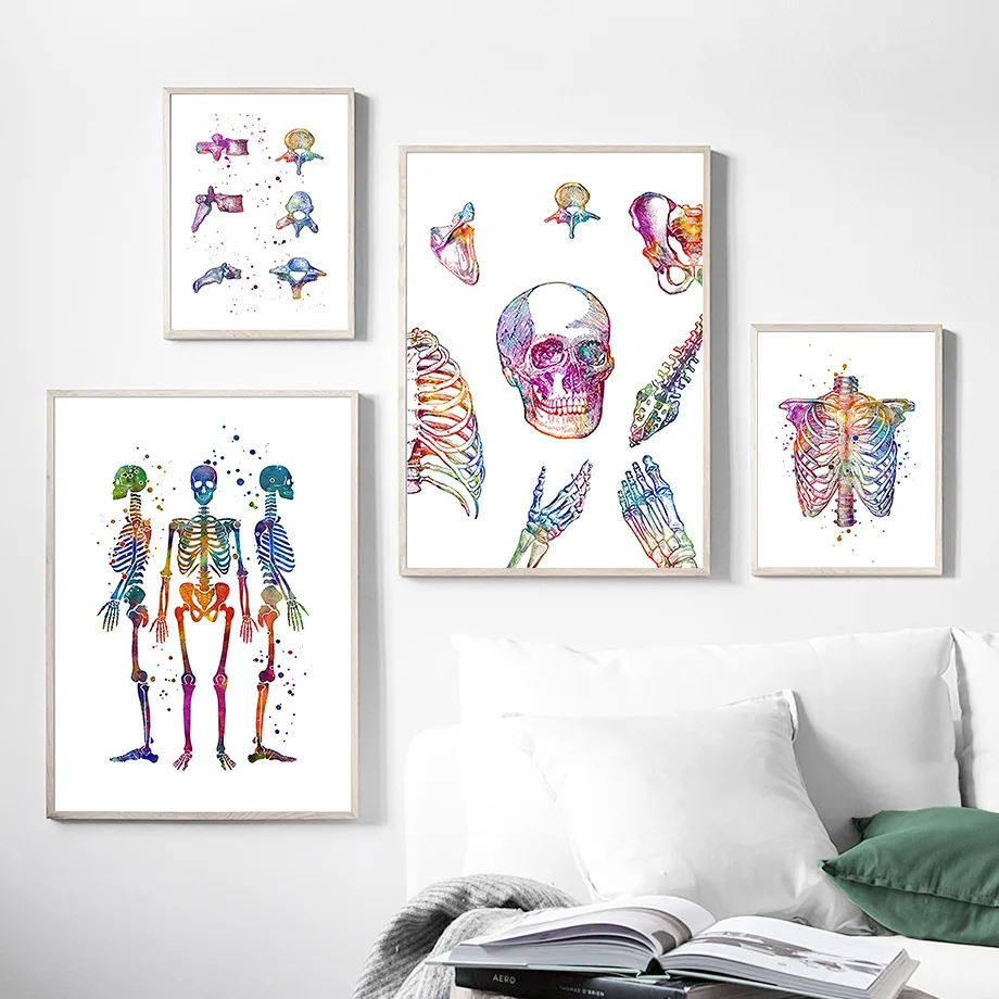 Anatomy Human Thoracic Spine Pelvis Limbs Skeletal Nordic Poster And Prints Art Canvas Painting Wall Pictures Doctor Room Decor