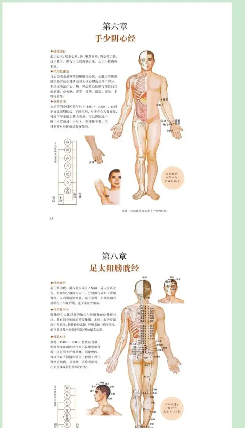 TCM Acupuncture Point Location Atlas Guide Book - Illustrated for Body Massage, Guasha and Moxibustion Therapy