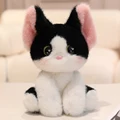 gato blanco y negro