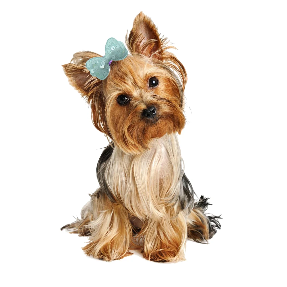 100pcs Sequins Style Dog Bowknot Pet Hair Bows Decorate Bows with Rubber Band for Small Dogs Puppy Pet Headwear Dog Accessories