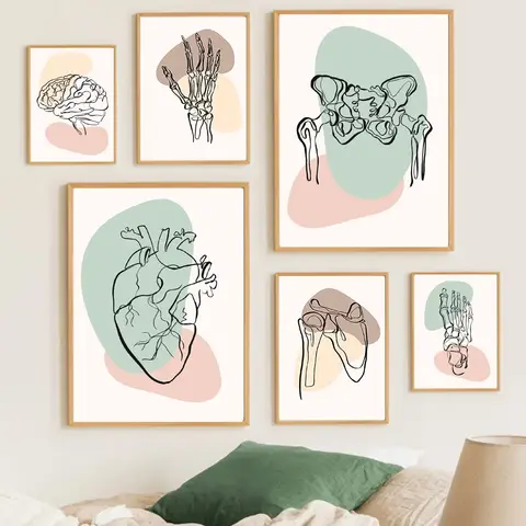 Pintura en lienzo de arte de pared de anatomía médica abstracta, carteles nórdicos e impresiones de esqueleto de cerebro de corazón, cuadros de pared para decoración de clínica