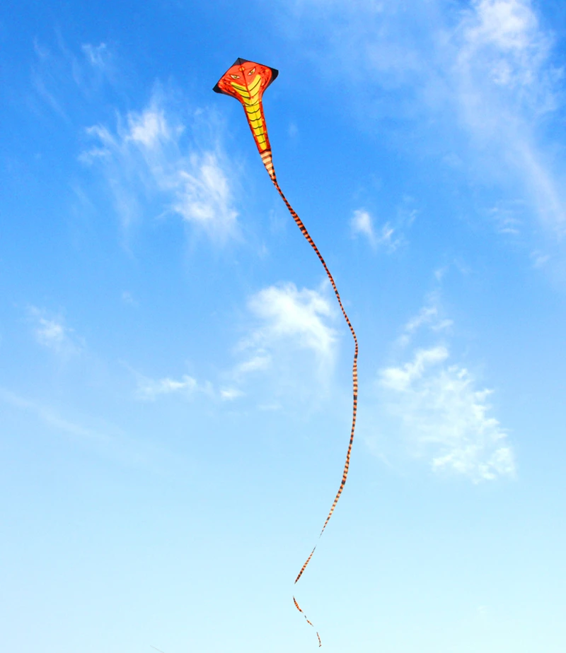 Envío Gratis, pipa grande de serpiente, línea de cuerda de mosca, kite de nailon, deportes de playa, piezas de windsurf, juegos al aire libre para niños, juguete novedoso