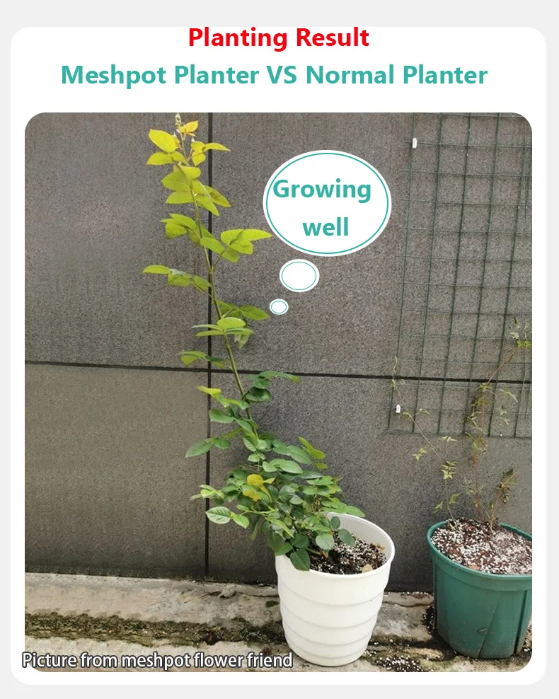 Meshpot Kunststoff Blumentopf Garten Töpfe Pflanzer mit Luft Löcher für Home Pflanzen Garten Zubehör 14cm/17cm/21cm/25cm – Detail 7
