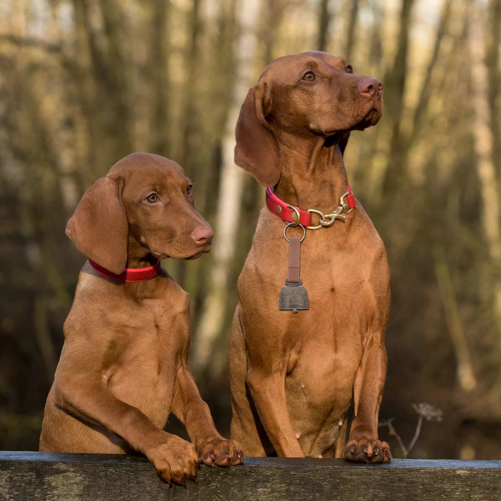 

Outdoor Small Bell Pendant Copper Cow Bell for Pet Anti-Lost Clear Sound Lightweight DIY Craft Gift Dog Collar Ornaments