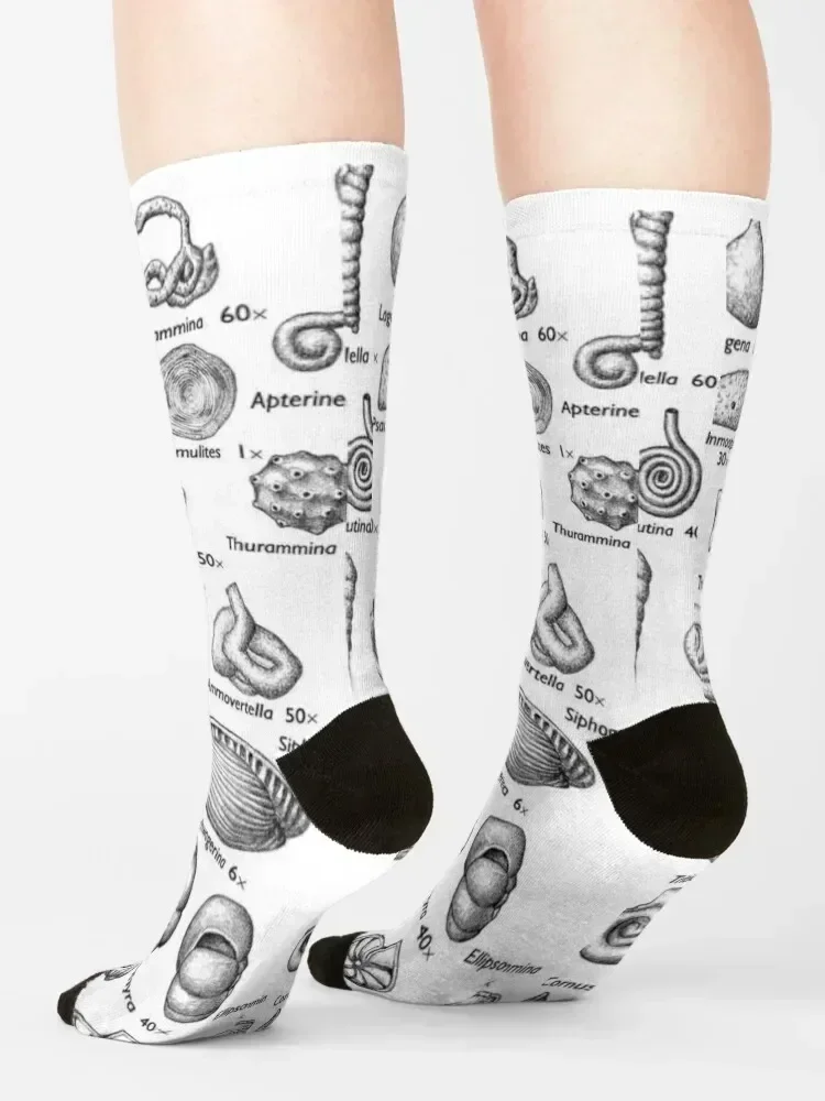 Fossils, paleontologists Socks funny sock Climbing Rugby hiphop Girl'S Socks Men's