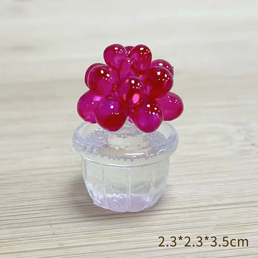 

Cartoon Cactus Bonsai Decor Transparent Fleshy Resin Crafts Mini Cactus Figurines Realistic Simulated Cactus