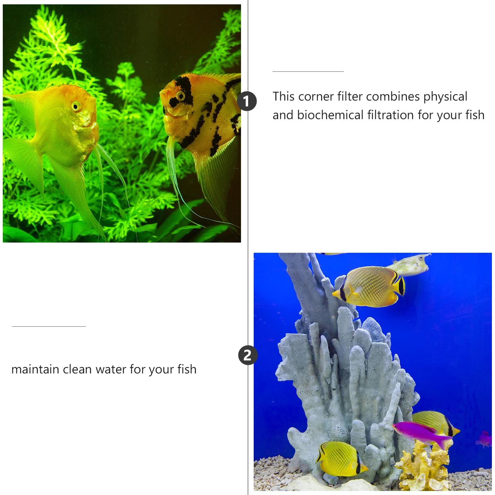 

Aquarium Supplies Degreasing Film Float Inlet and Outlet Portable Degreasing Film Basket for Shrimp Nano Fish Tank Aquarium