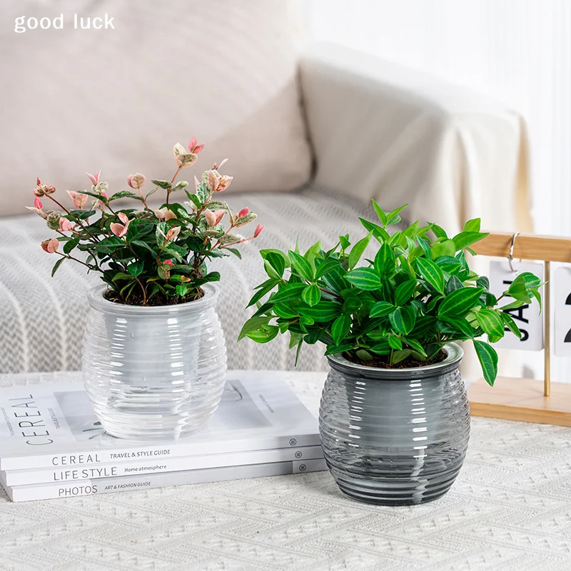 Automatic Water-Absorbing Self-Watering Plant Pots Double Layer Transparent Flower Vase Plastic Home Decorations 1PC
