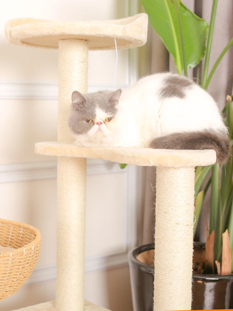 Catsoul Latest Design Multi-level Cat Tree Condo Furniture With Scratching Board Cat Climbing Tree