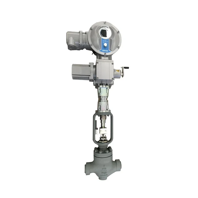 Electric Manual Single Seated Control Valve Sleeve Flow Control Valve