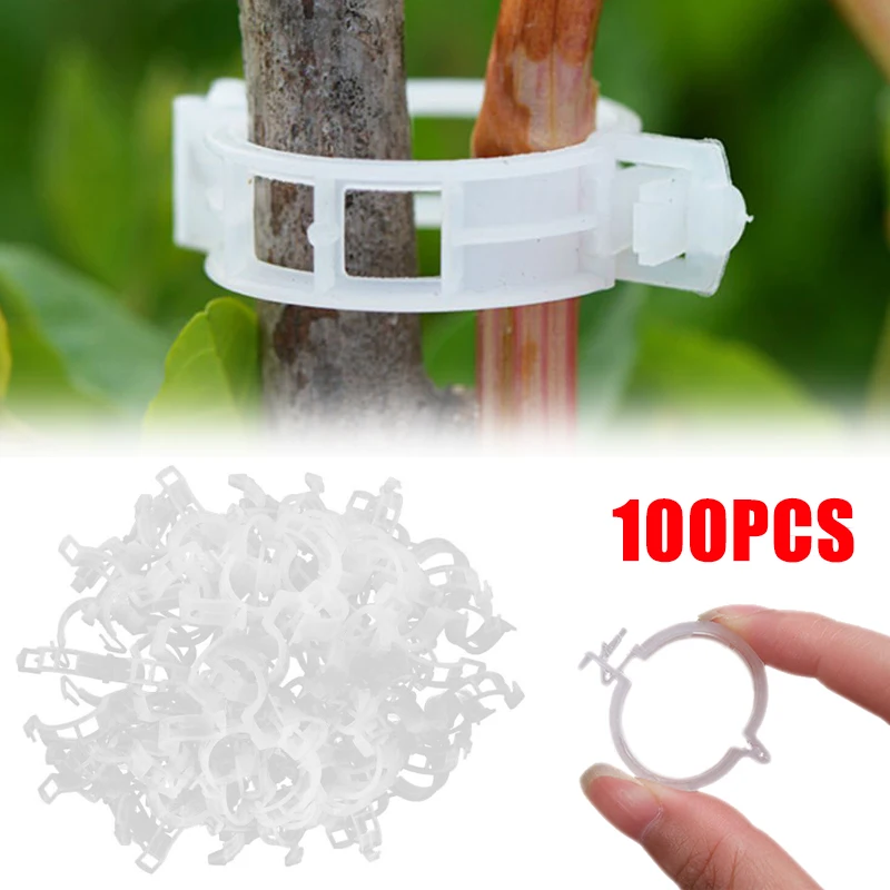 

Plastic Plant Support Clips Connects Reusable Protection Grafting Fixing Tools Garden Supplies Vegetable Tomato Rose Holder Clip