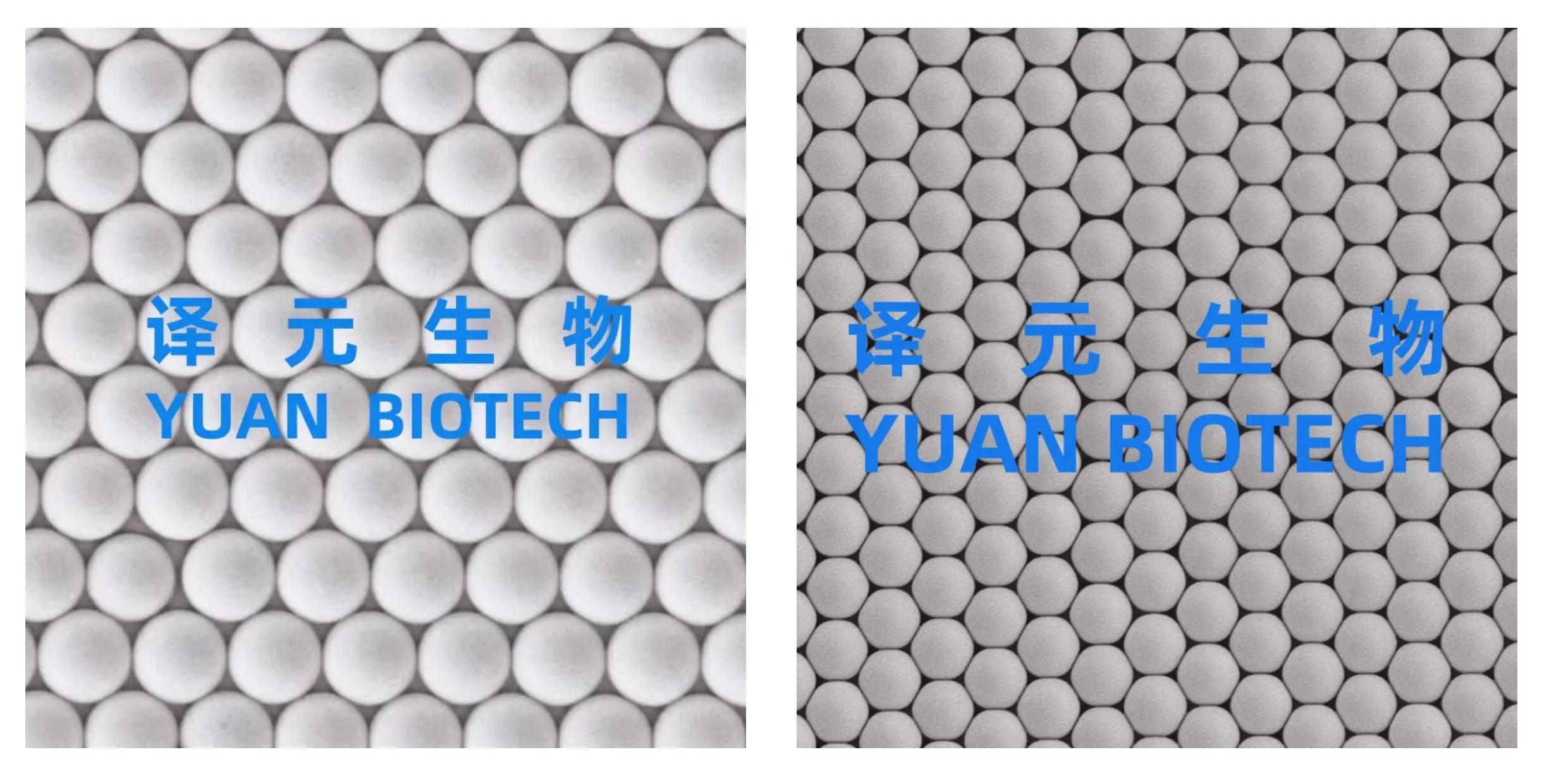 

Monodisperse Polystyrene Microspheres 20nm~1000um Am PS Microballoon 5ml 2.5%