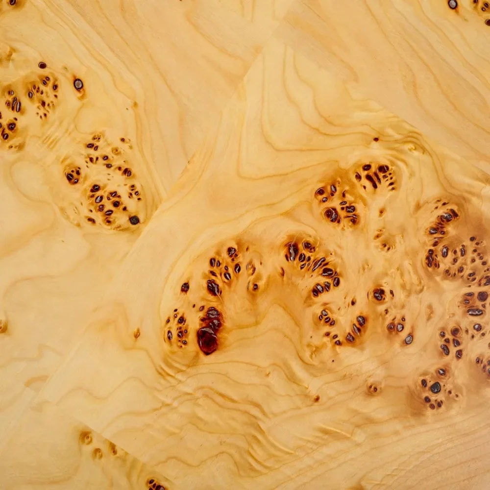 MINN-Table Basse Ronde Naturelle pour Votre Salon