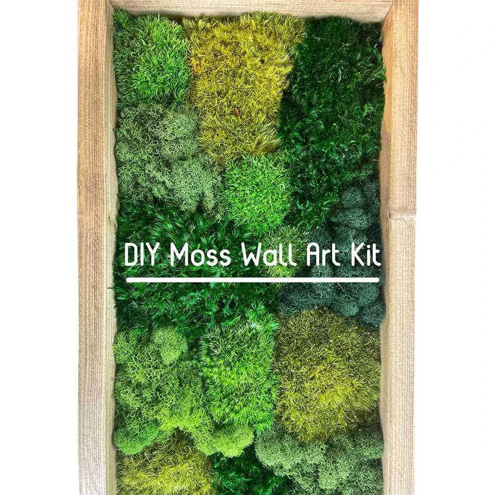 Künstliche grüne Pflanzen Mini Landschaft Moos Gras Kunst gras ewiges Leben DIY Handwerk Garten Haus Wohnzimmer Dekoration