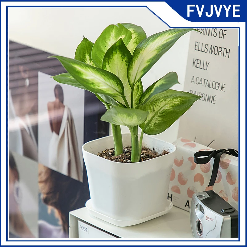 5pcs 7cm Mini Square Plastic Plant Flower Pot Trays Home Garden Office Decor Planter Pots Chassis Tray Succulent Plants Pot A5