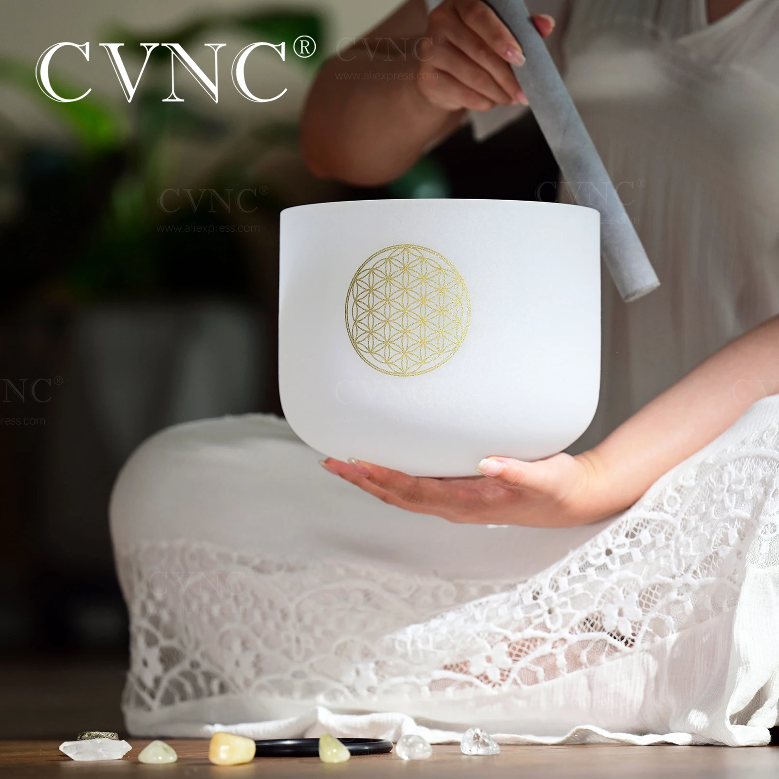 CVNC 7