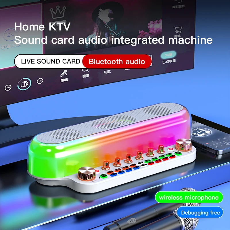 Sy12 tragbare Kinder lauter Karaoke-Lautsprecher mit zwei drahtlosen Bluetooth-Lautsprechern All-in-One-Soundkarte für Familien-Ktv-Party