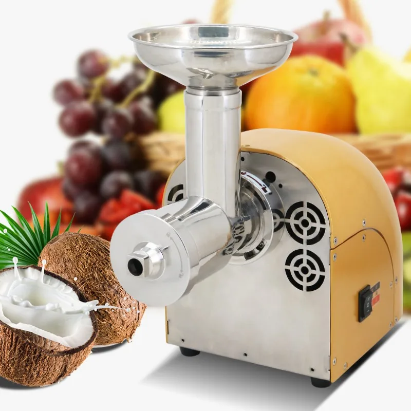 Máquina de espremedor a frio em aço inoxidável, mastigação lenta, espremedor Auger, frutas e legumes, Extrator de suco de baixa velocidade,