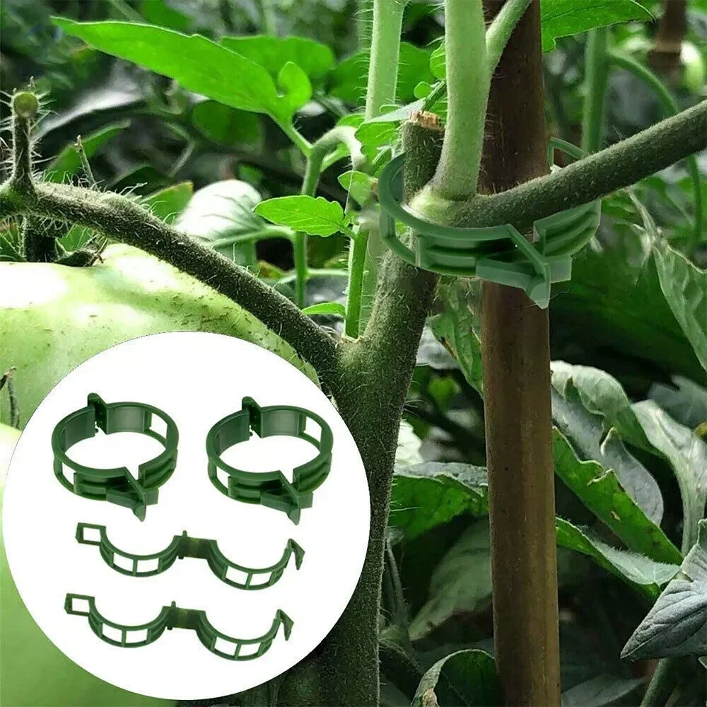 Plant fixing clip, horticultural plant vine binding clip, fruit and vegetable vine buckle, vine climbing plant support clip