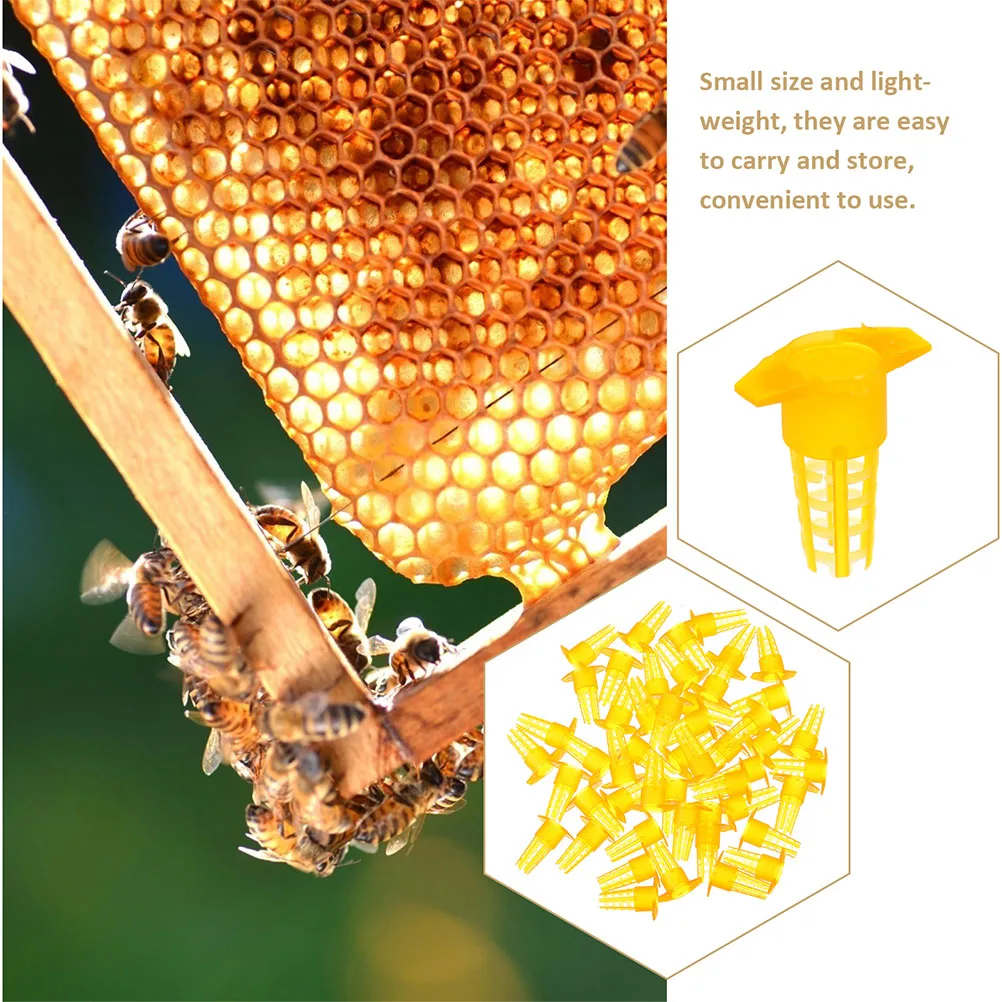 

50pcs Bee Cage Protective Cover Breeding Tools Rearing Cups Incubation Bases Safe Use Beekeeping Equipment Gardening Supplies