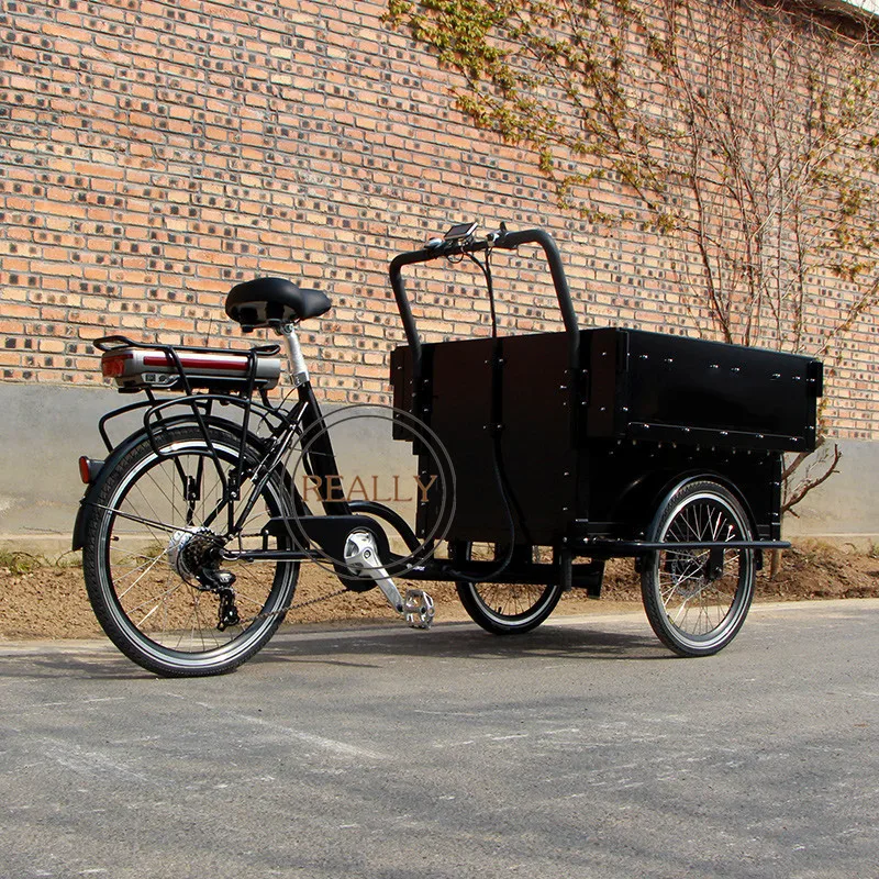 Electric School Bus Cargo Bike Tuktuk Cargo Tricycle For School Delivering Kids Use Cargo Bike For Sale