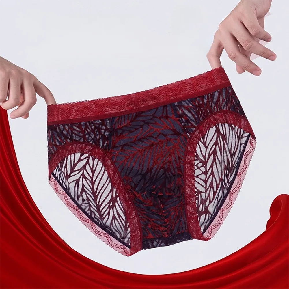 Men's Underwear Breathable Lace Trim Elastic Waist Briefs U Pouch Transparent Lingerie Flocking Printing Mesh Panties