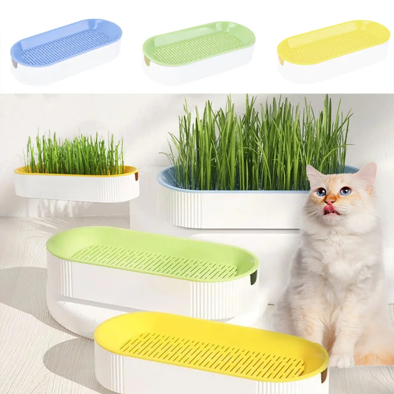 New Pet Cat Hydroponic Sprout Dish Growing Pot Plant Cat Grass Box Germination Digestion Starter Dish Greenhouse Easy Growth Box