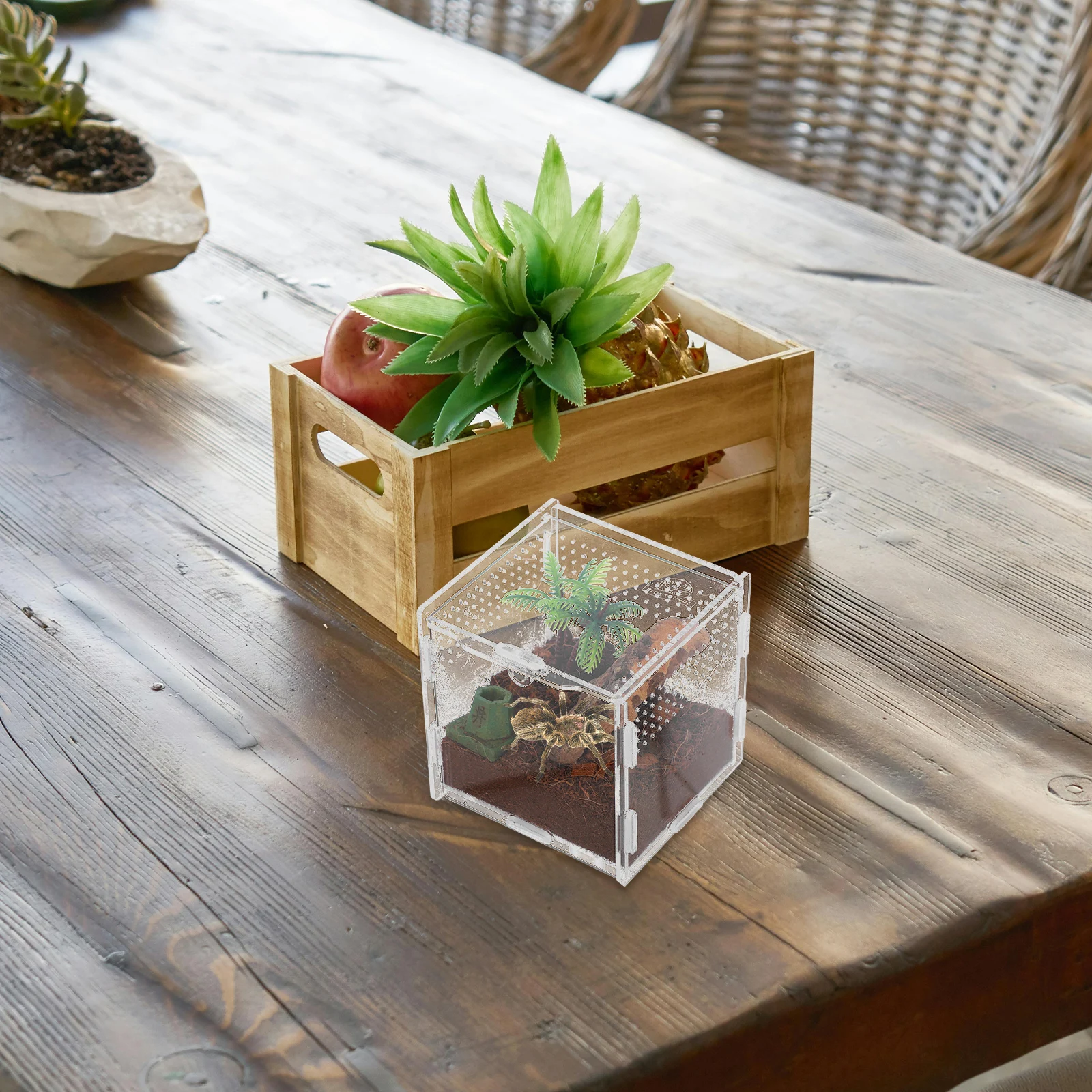 

5pcs Pet Spider Box Small Acrylic Enclosure For Jumping Spider Habitat Transparent Escape-Proof Micro Terrarium Reptile Frog