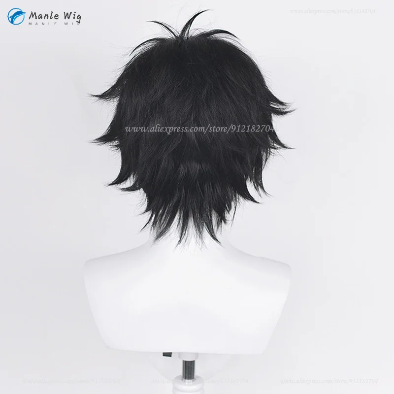 Anime Monkey D. Luffy Cosplay Wig Short Black Fluffy Wigs Heat Resistant Synthetic Hair Hallowen Party Wigs + Wig Cap