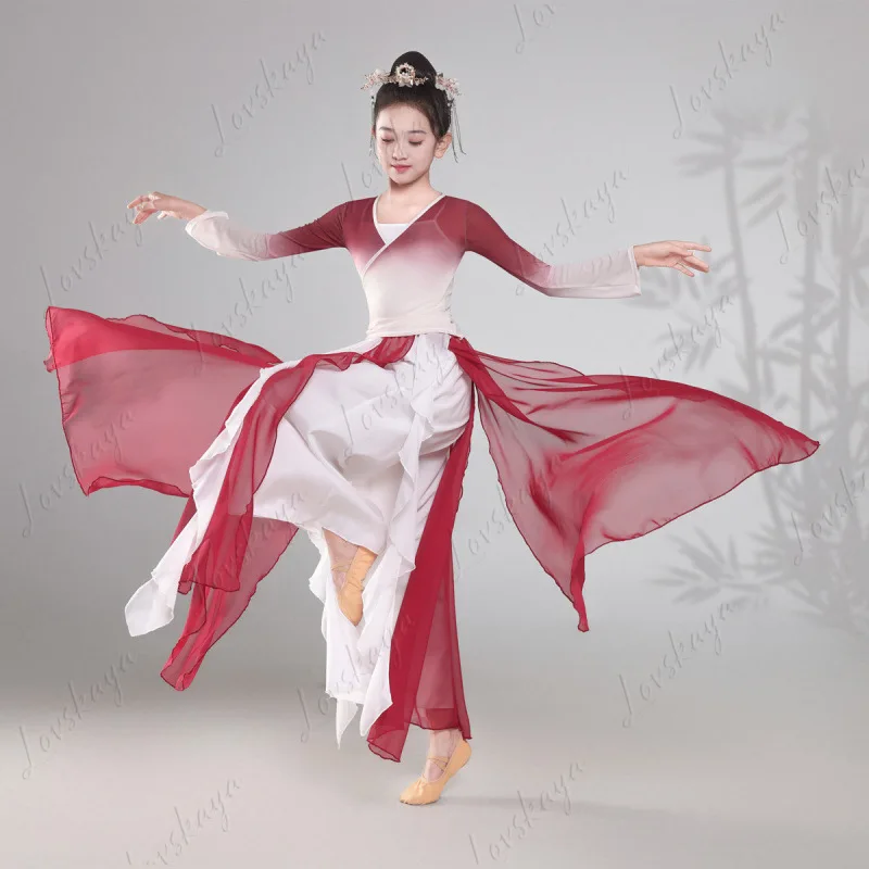 Elegant Gauze Chinese Folk Dance Costume for Women Gradual Change Classical Dance Body Rhyme Fairy Performance Clothes