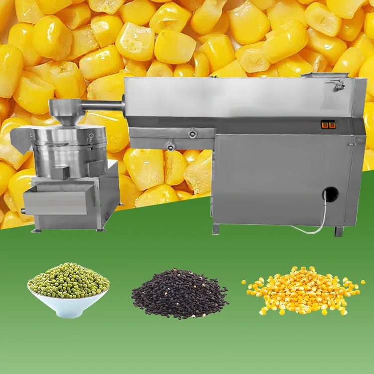 Lift Type Grain Cleaning Machine Automatic Washer Dewaterer for Sesame Corn Wheat Sorghum