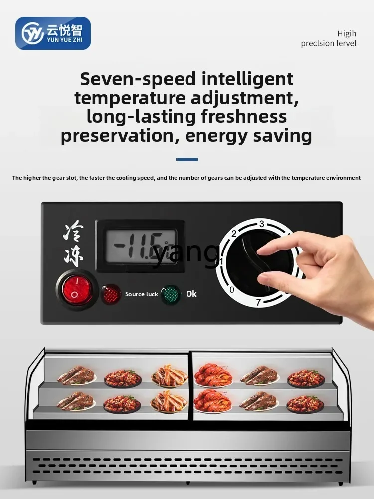 LH desktop stall ice table refrigerated display cabinet tricycle ladder fried string commercial