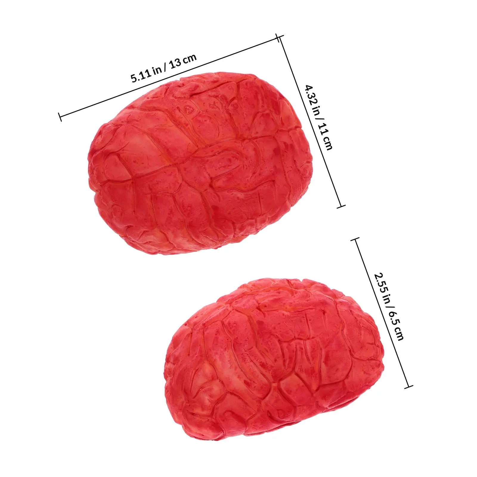 1 unidade de Cérebro Falso Escuro - Tamanho Humano para Festa de Halloween, Decoração Assustadora, Adereços de Pegadinhas, Cosplay, Casa Assombrada