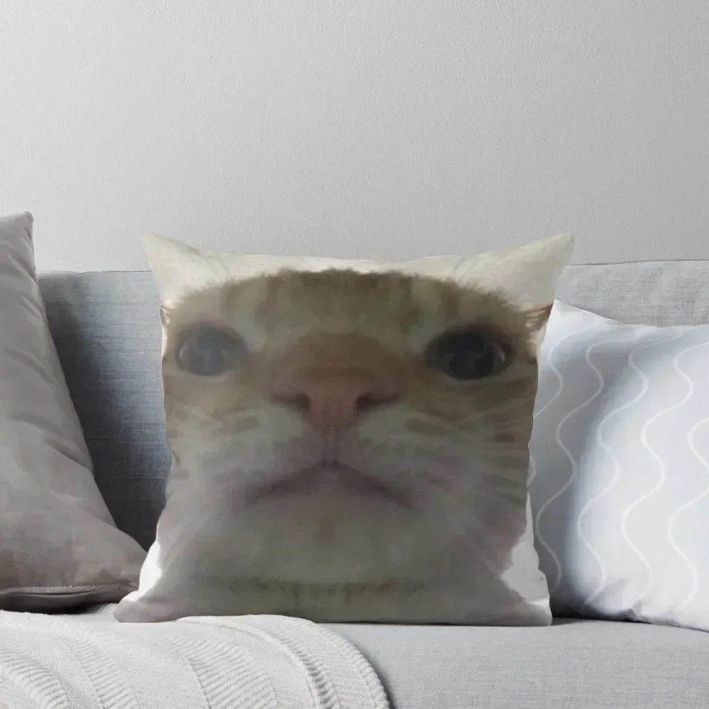 

Selfie Cat Throw Throw Pillow Christmas Cushion For Home Pillows Aesthetic Pillowcases Bed Cushions pillow