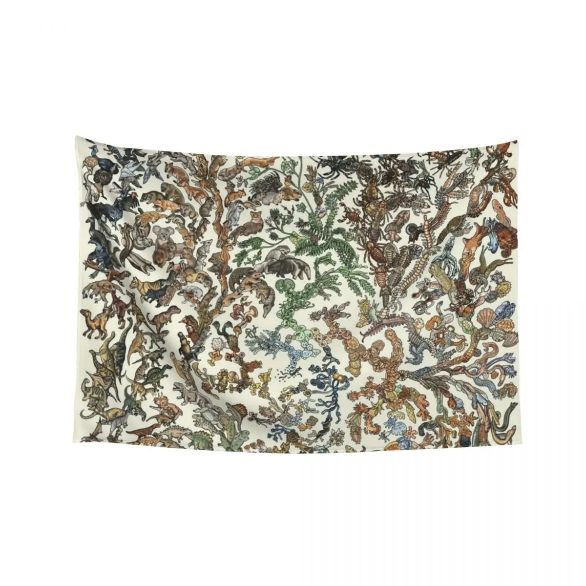 

Tree of Life Poster - Animal Evolution - Colour (New Design Available) Tapestry Wall Mural Decoration Wall Tapestry