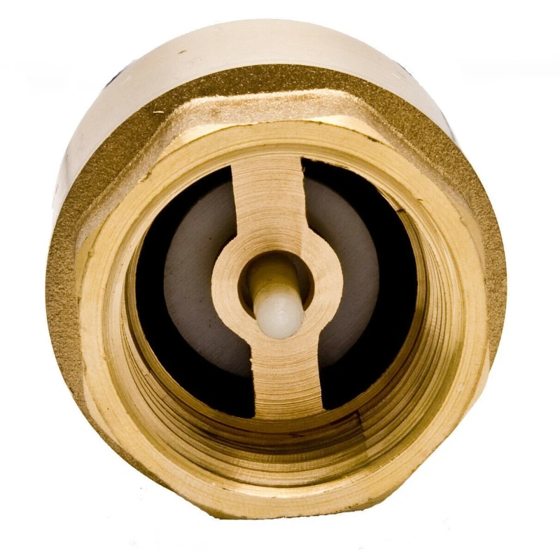 

Brass Stainless Steel Threaded Vertical Check Valve Anti-Counterflow One-way Spring Thread Check Valve
