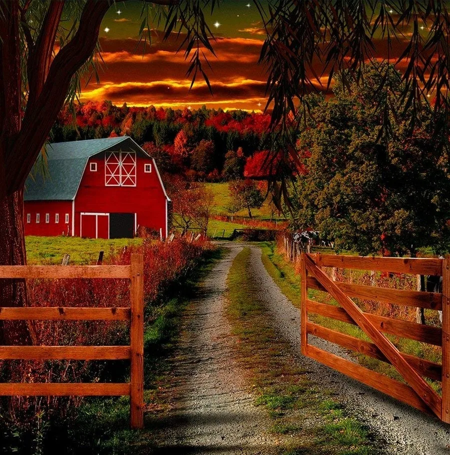 farm Country Red Barn Fence Tree Sunset Road backdrops High quality computer print scenic Photography Studio Backgrounds