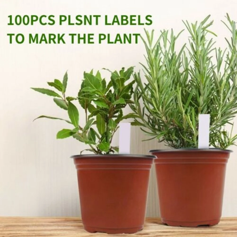 100 Pcs 6.5Inch Plastic Plants Pots Nursery Pots with Label Garden Tools