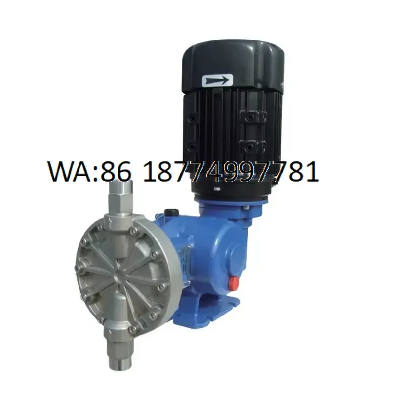 custom for SEKO Spring MS1 Swimming Pool RO System Chemical Dosing Pump OEM 10 Bar Automatic 1200 LPH Inverter Motor