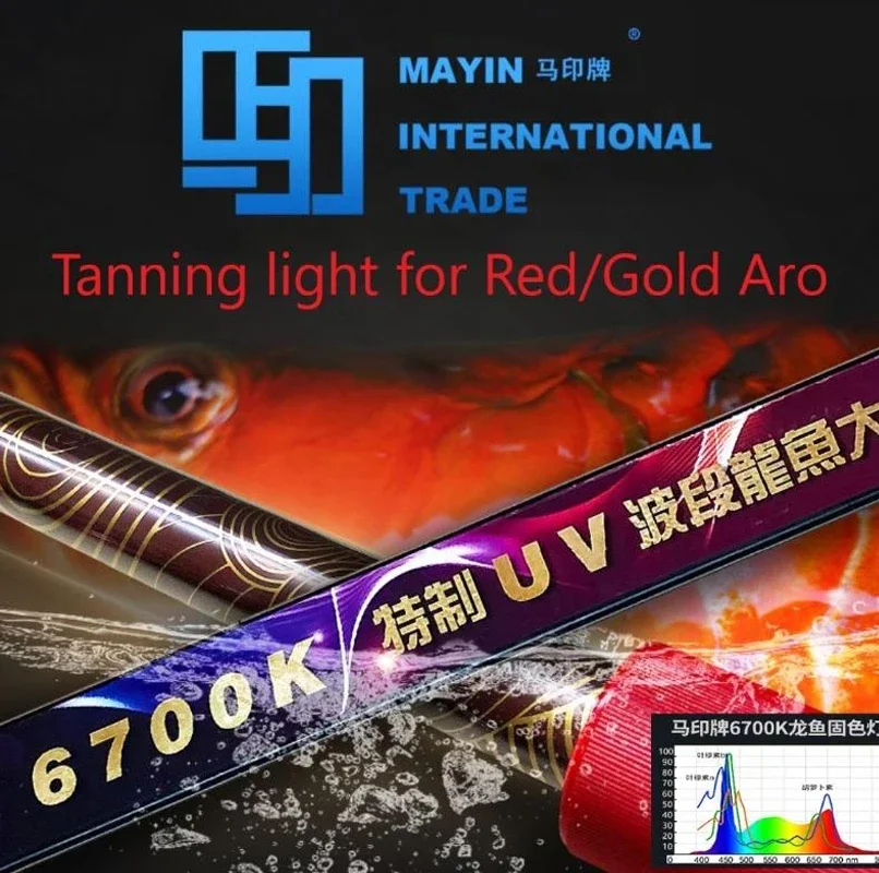 

Mayin Authorized SG Seller T5 6700k Tanning Light +UV 3ft 4ft 5ft for Red Gold Arowana Submersible